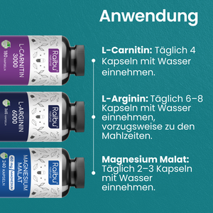 Sport & Leistung Bundle