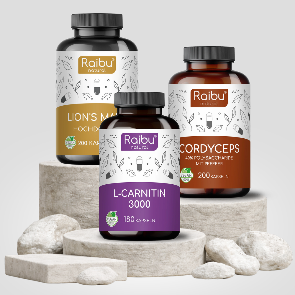 Energie & Fokus Bundle