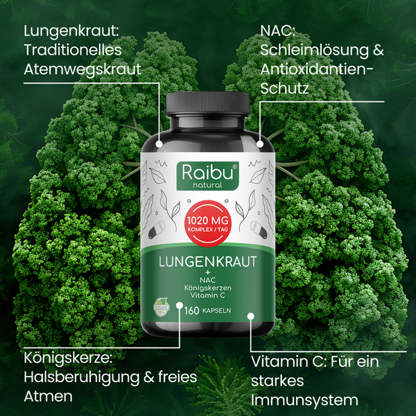 Lungenkraut | 160 Kapseln