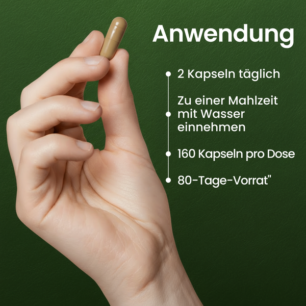 Lungenkraut | 160 Kapseln